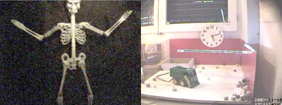 TeleSkeleton & Web Truck